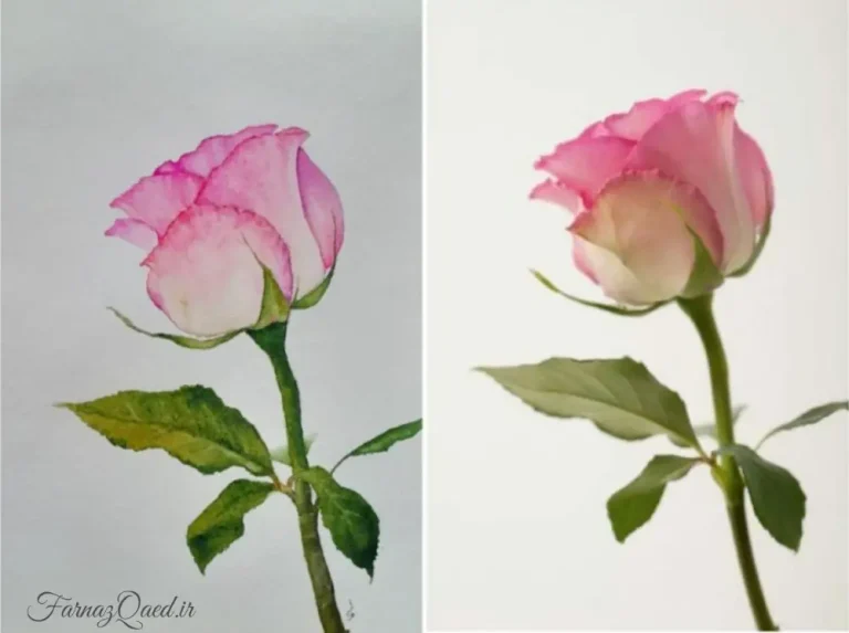آموزش گل رز آبرنگ