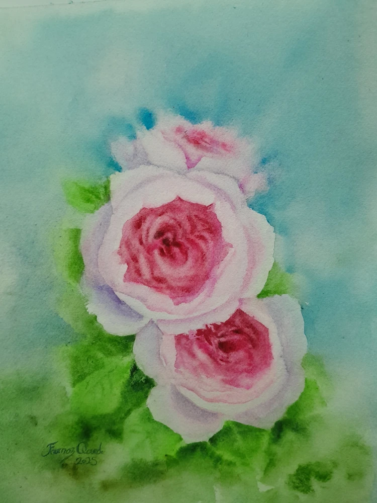 آبرنگ گل رز 