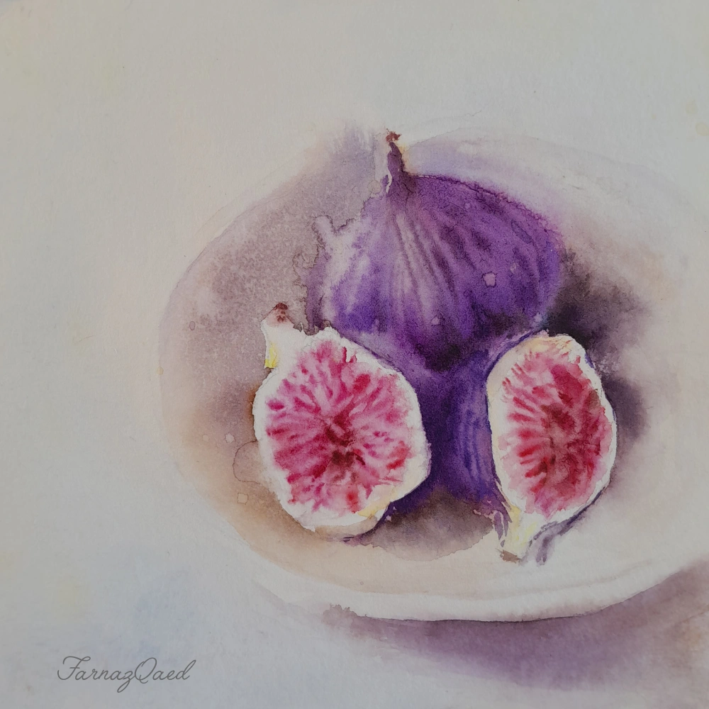 نقاشی آبرنگ انجیر